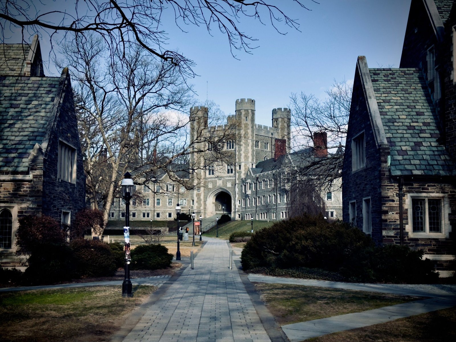 How American Colleges Are Using AI to Transform Student Learning